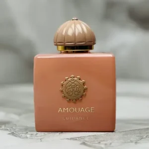 ادکلن سوپراسمارت آمواج گایدنس